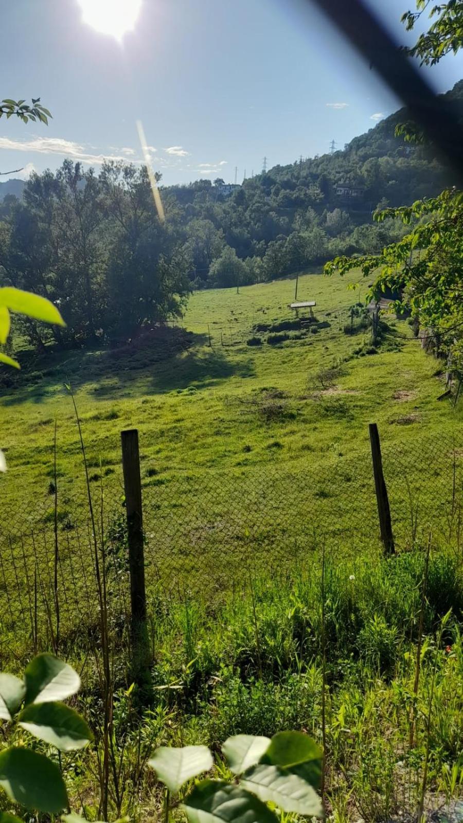 B&B La Casa Del Daino Millesimo Zewnętrze zdjęcie