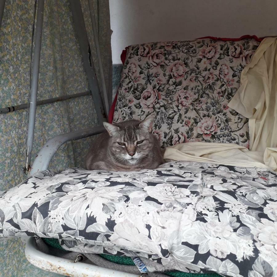 B&B La Casa Del Daino Millesimo Zewnętrze zdjęcie