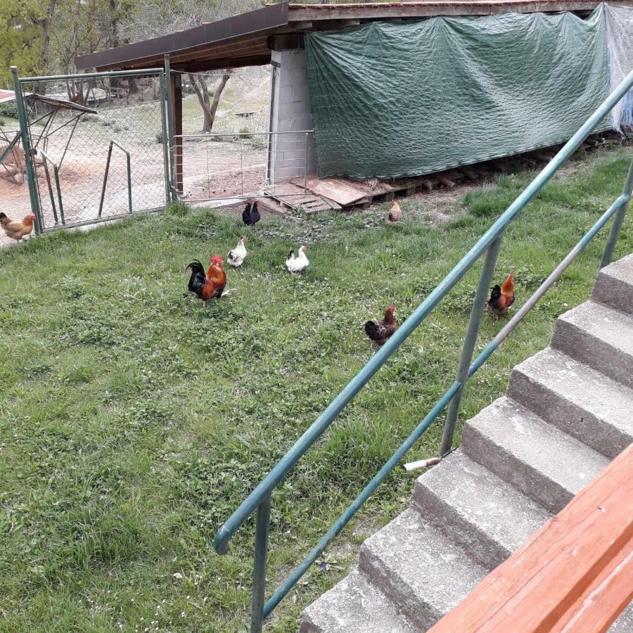 B&B La Casa Del Daino Millesimo Zewnętrze zdjęcie