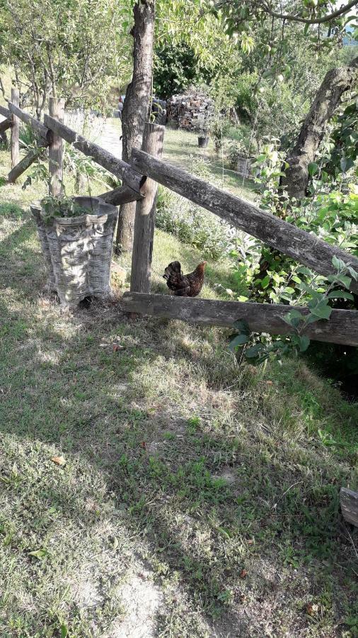 B&B La Casa Del Daino Millesimo Zewnętrze zdjęcie